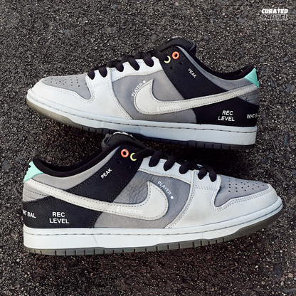 Nike SB Dunk Low “VX1000” US8