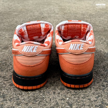 Nike SB Dunk Low “Concepts Orange Lobster” US9